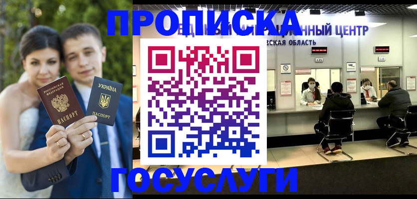 прописка штамп в Жердевке